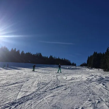 Chalet Almhuette Hebalm *