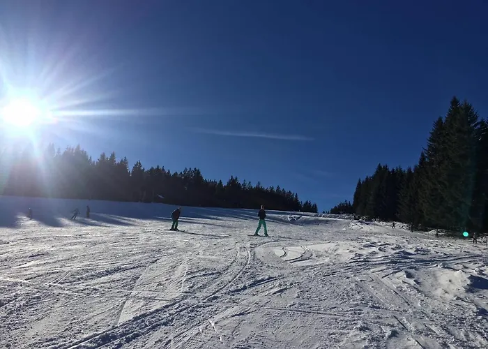 Chalet Almhuette Hebalm *